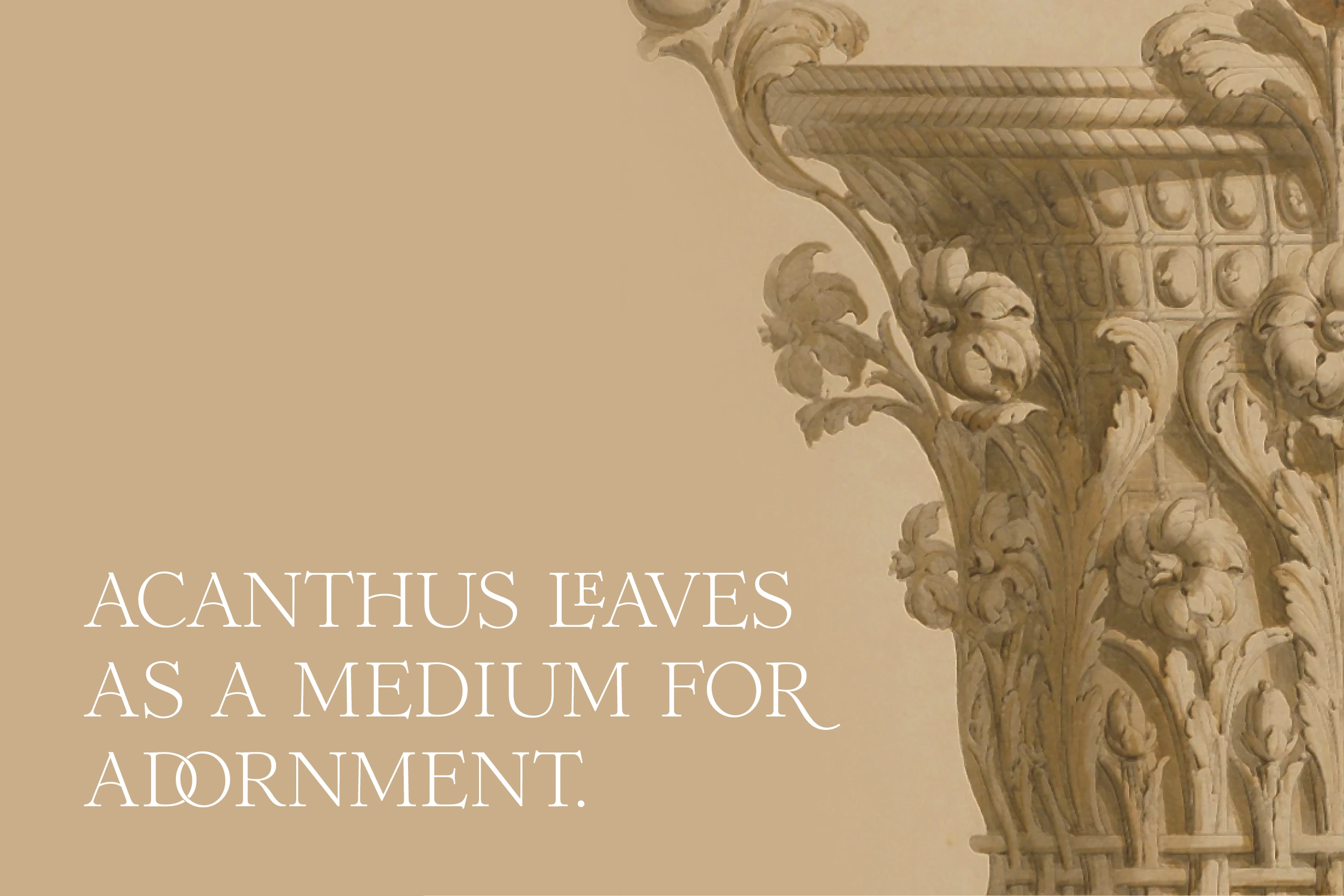 Houttekier Portfolio_Acanthus_Foliage Adornment-2
